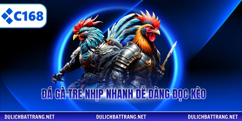 Đá gà tre nhịp nhanh dễ dàng đọc kèo
